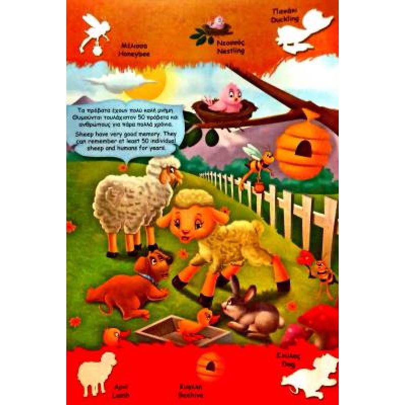 Παιδικό Βιβλίο - Οι πρώτες μου λέξεις στα αγγλικά – Τα ζώα ΒΙΒΛΙΑ ΜΕ ΑΥΤΟΚΟΛΛΗΤΑ 