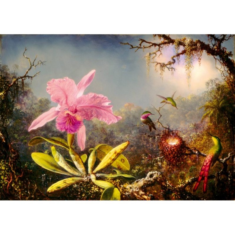 Cattleya Orchid and Three Hummingbirds ,1871 1000 ΚΟΜΜΑΤΙΑ